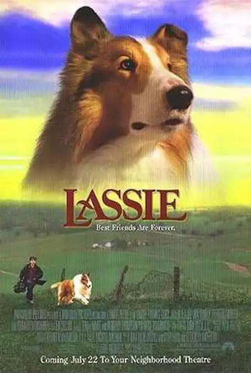 لسی