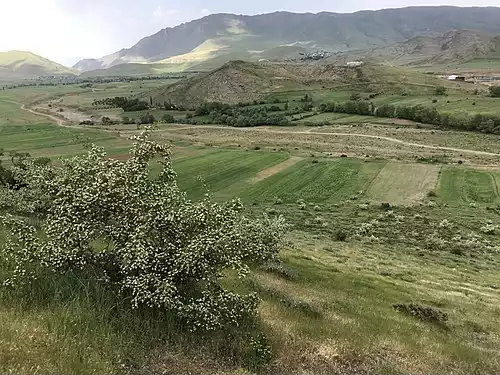 معنی کلمه چیزه در دانشنامه عمومی