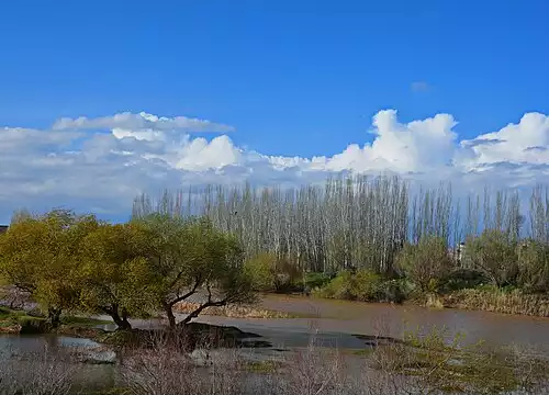 معنی کلمه چهاردولی در فرهنگ فارسی