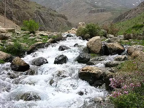 معنی کلمه ازنا در دانشنامه عمومی