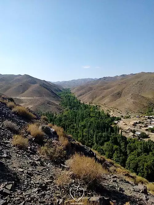 جملاتی از کاربرد کلمه باب دراز