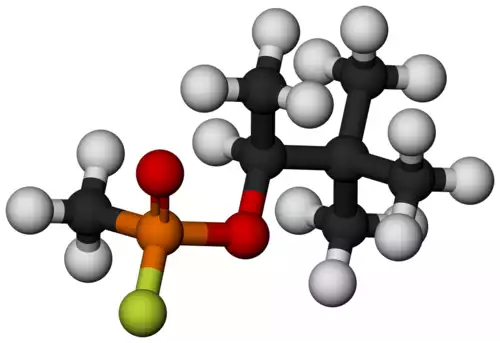 معنی کلمه سومان در لغت نامه دهخدا