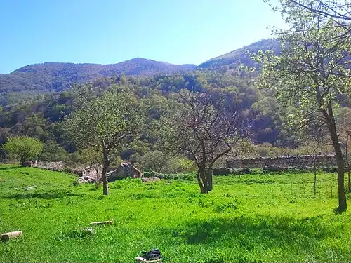 ایستی بلاغ