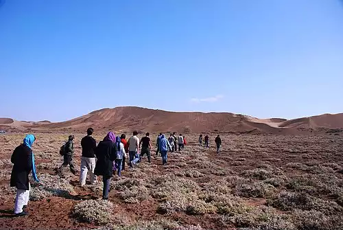 معنی کلمه بیابان گردی در لغت نامه دهخدا