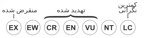 معنی کلمه یوزنهنگ کوتوله در فرهنگستان زبان و ادب