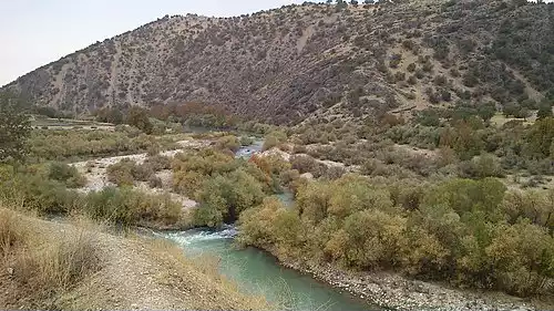 معنی کلمه دارشاهی در دانشنامه عمومی